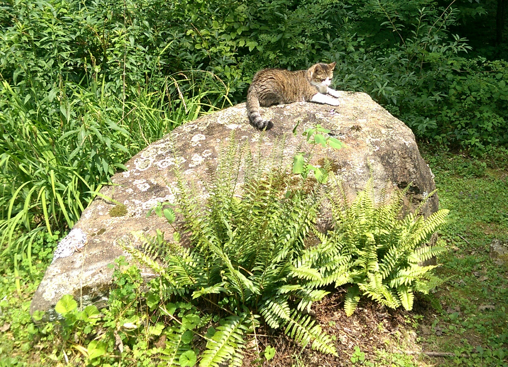 Copyright © 2016Michael R. EddyAll rights reserved