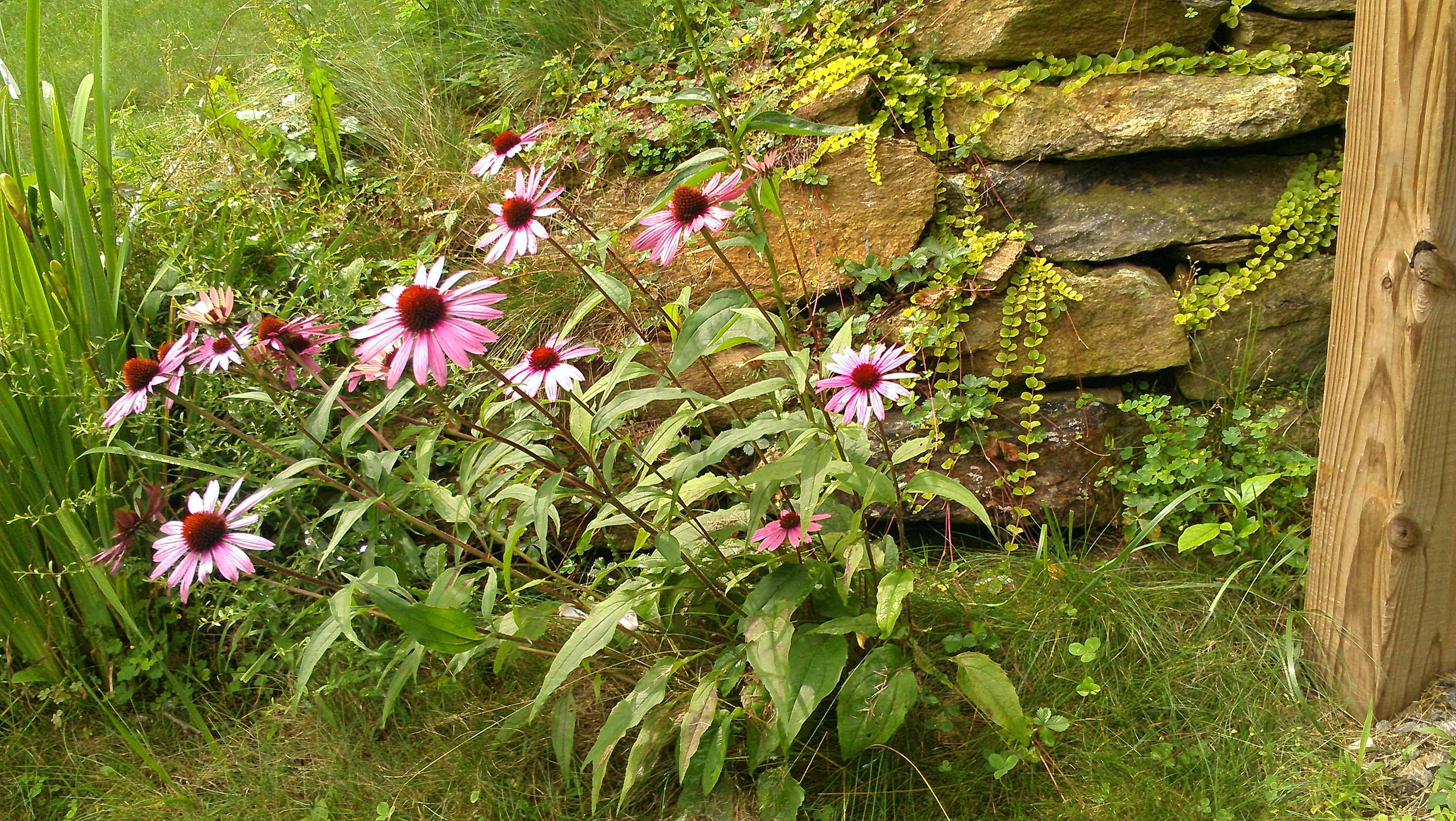 Copyright © 2014Michael R. EddyAll rights reserved